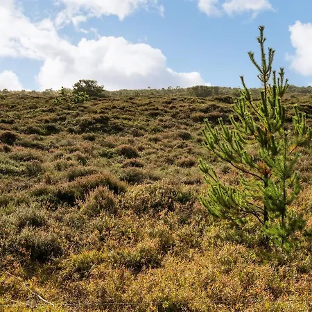 Сasa de vacaciones Ilona - 2km From The Sea By Interhome Kongsmark